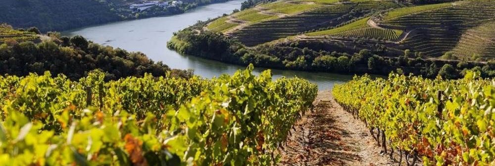 Douro